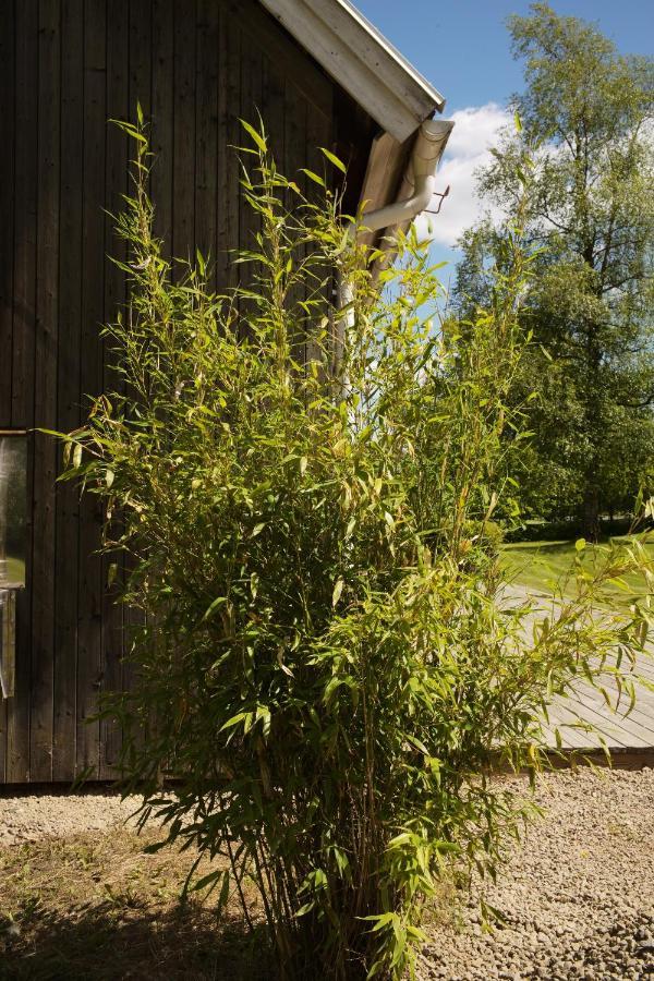 فيلا Gransaeng Loft House Nässjö المظهر الخارجي الصورة